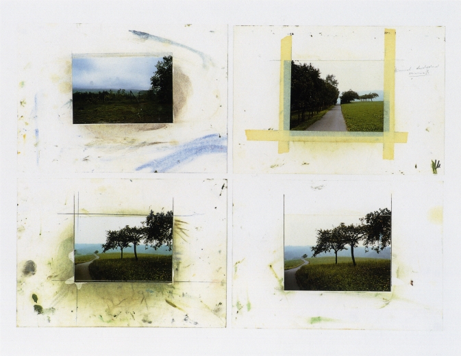 Four photographs of fields with trees, the bottom two almost identical to the painting.